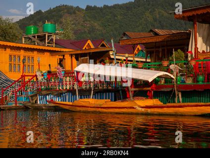 Hausboote auf dem Dal Lake, Jammu und Kaschmir, Srinagar, Indien Stockfoto