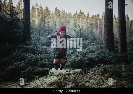 Kleiner Junge im Wald Stockfoto