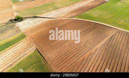 Die Weinberge im Frühjahr in der Provinz Valladolid im Ursprungsgebiet Ribera del Duero in Spanien aus der Vogelperspektive Stockfoto