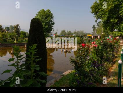 ￼Pool in Shalimar Bagh Mughal Garden, Jammu und Kaschmir, Srinagar, Indien Stockfoto