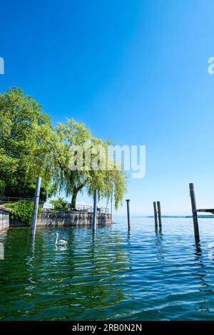 Jackethafen in Überlingen am Bodensee Stockfoto