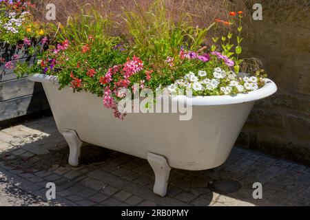 Deutschland, Baden-Württemberg, Eppingen, alte Badewanne als Blumentrog. Stockfoto