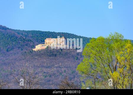 Deutschland, Rheinland-Pfalz, Burg Hambach, Symbol der deutschen Demokratiebewegung. Stockfoto