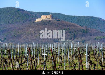 Deutschland, Rheinland-Pfalz, Burg Hambach, Symbol der deutschen Demokratiebewegung. Stockfoto