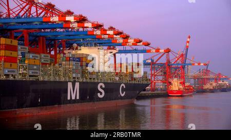 Containerschiffe am Eurokai-Containerterminal, Waltershofer Hafen, Hamburg, Deutschland Stockfoto