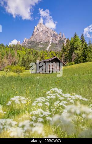 Italien, Trentino, Primiero San Martino di Castrozza, eine traditionelle Holzhütte am Fuße des Mount Cimerlo, Pale di San Martino Gruppe, Dolomiten Stockfoto