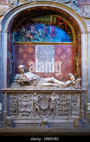 Grab des Doncel, oder junger Ritter, ein viel besuchter Abschnitt der Siguenza-Kathedrale, Spanien. Er starb 1486, als er 14 war, junger Adliger Martín Vázque Stockfoto