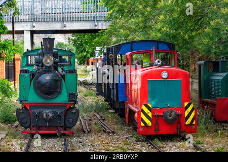 Lokomotiven des Zuges El Tren de Arganda oder des Zuges Tren de la Poveda in Arganda del Rey, Madrid, Spanien. Im Jahr 1990 hat eine Gruppe von Eisenbahnenthusiasten übernommen Stockfoto