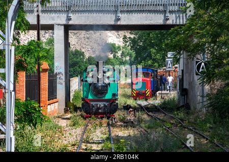 Bahnhof Poveda, Zug El Tren de Arganda oder Zug Tren de la Poveda in Arganda del Rey, Madrid, Spanien. Im Jahr 1990 hat eine Gruppe von Eisenbahnenthusiasten übernommen Stockfoto