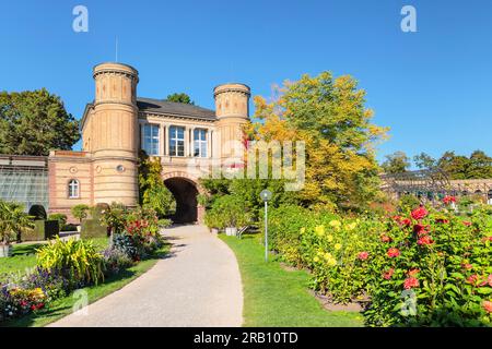 Botanischer Garten, Schlossgarten, Karlsruhe, Baden-Württemberg, Deutschland Stockfoto