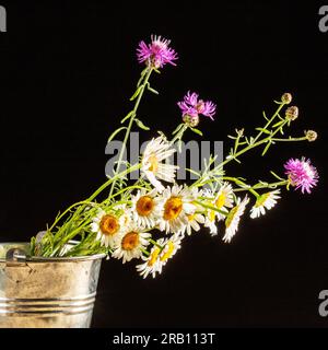 Strauß einfacher Wildblumen in einem Metalleimer auf schwarzem Hintergrund. Stockfoto