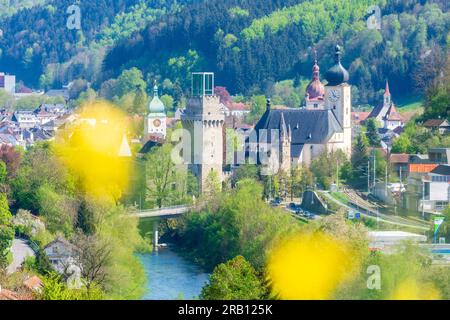 Waidhofen an der Ybbs, Waidhofen Stadtzentrum mit Schloss Rothschild, Kirche, Fluss Ybbs, Wiese in Mostviertel, Niederösterreich, Österreich Stockfoto