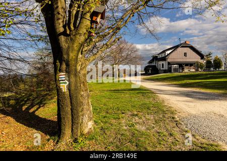 Europa, Polen, Schlesische Woiwodschaft, kleine Beskiden, Bergschutzgebiet PTTK Magurka Stockfoto