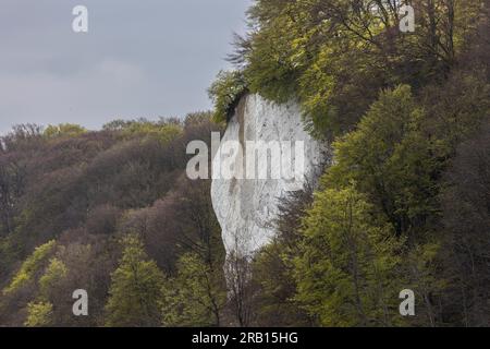 Europa, Deutschland, Mecklenburg-Vorpommern, Insel Rügen, Jasmund-Nationalpark, Kreideklippen bei Sassnitz Stockfoto