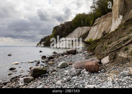 Europa, Deutschland, Mecklenburg-Vorpommern, Insel Rügen, Jasmund-Nationalpark, Kreideklippen bei Sassnitz Stockfoto