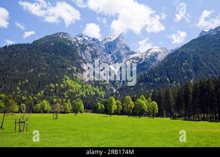 Frühling im Großen Ahorn, Karwendel Mountains Stockfoto