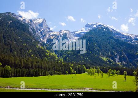 Frühling im Großen Ahorn, Karwendel Mountains Stockfoto