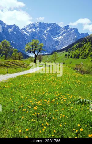 Frühling im Großen Ahorn, Karwendel Mountains Stockfoto