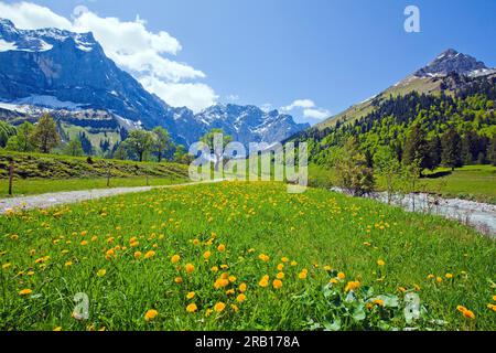 Frühling im Großen Ahorn, Karwendel Mountains Stockfoto