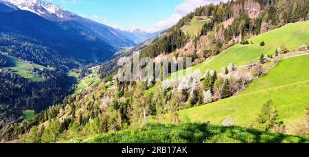 Talblick in Ultental, Südtirol Stockfoto