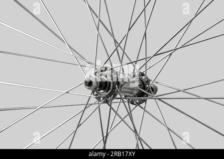 Radnabe für Fahrräder. Fahrradrad. Isoliert auf hellgrauem Hintergrund. Stockfoto