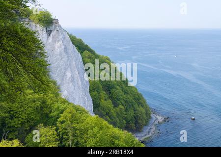 Königsstuhl, Kreidefelsen und Frühlingsbuchenwald, Meerblick, Jasmund Nationalpark, Insel Rügen, Deutschland, Mecklenburg-Vorpommern Stockfoto