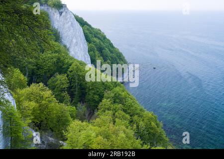 Königsstuhl, Kreidefelsen und Frühlingsbuchenwald, Meerblick, Jasmund Nationalpark, Insel Rügen, Deutschland, Mecklenburg-Vorpommern Stockfoto