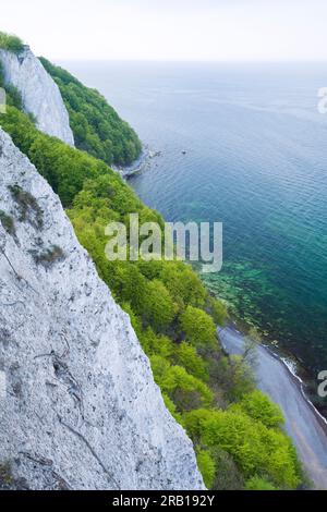 Kreidefelsen und Frühlingsbuchenwald am Königsstuhl, Meerblick, Jasmund Nationalpark, Insel Rügen, Deutschland, Mecklenburg-Vorpommern Stockfoto