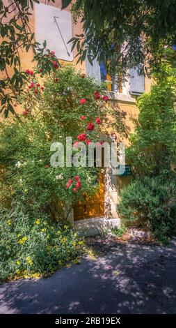 Hausfassade in Peyriac de Mer. Stockfoto