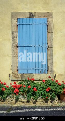 Geranien in Peyriac de Mer. Stockfoto