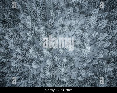 Wald im Winter von oben, Schwäbische Alb, Baden-Württemberg, Deutschland Stockfoto