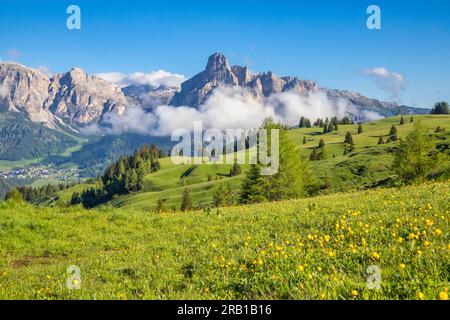 Italien, Südtirol, Provinz Bozen, Badia-Tal, die grünen Blumenwiesen von Incisa und Pralongià im Frühjahr, im Hintergrund die Sassongher und die Gardena-Dolomiten Stockfoto