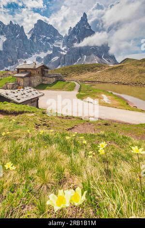 Italien, Trentino, Trento, Primiero San Martino di Castrozza. Baita Segantini und Cimon de la Pala, Naturpark Paneveggio Pale di San Martino, Dolomiten Stockfoto