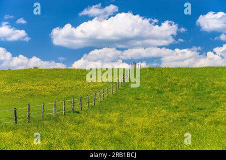 Deutschland, Bayern, Tölzer Land, Icking, Bezirk Schlederloh, Frühlingslandschaft Stockfoto