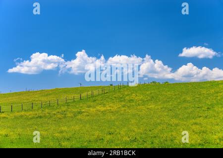 Deutschland, Bayern, Tölzer Land, Icking, Bezirk Schlederloh, Frühlingslandschaft Stockfoto