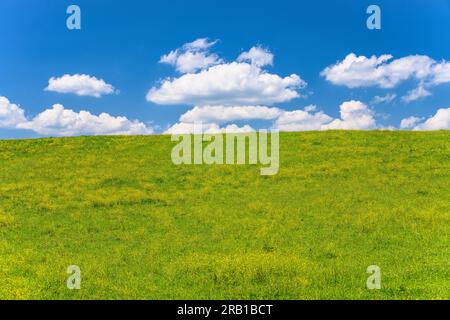 Deutschland, Bayern, Tölzer Land, Icking, Bezirk Schlederloh, Frühlingslandschaft Stockfoto