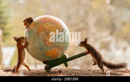 Rote Eichhörnchen mit Erdkugel und Schubkarre Stockfoto