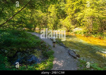 Kind geht auf einem Pfad in der Nähe des Tresenica-Bachs im Tal von Tovel. Europa, Italien, Trentino Südtirol, Trient District, Ville d'Anaunia Stockfoto