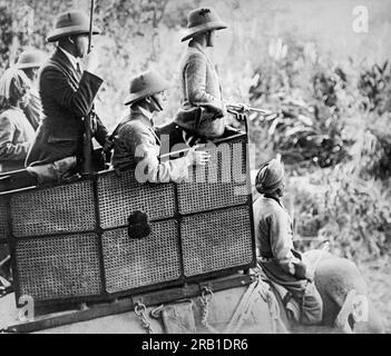 Nepal: 29. Januar 1922 der Prinz von Wales beobachtet von seinem Howdah aus auf einem Elefanten, wie ein beliebiges großes Spiel auf seiner Jagdexpedition im Dschungel Nepals in Deckung kommt. Seine Waffenlader sind mit ihm zusammen. Stockfoto