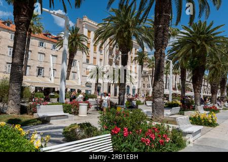 Palmen säumen den Fußweg am Ufer von gran Split in kroatien an einem Sommertag, wunderschöne Bäume und Architektur in Split croatia. Stockfoto