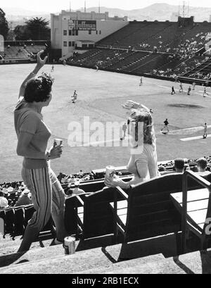 San Francisco, Kalifornien: c. 1958 Fans jubeln die SF Giants bei einem Baseballspiel im Seals Stadium gegen die Boston Red Sox an. Stockfoto