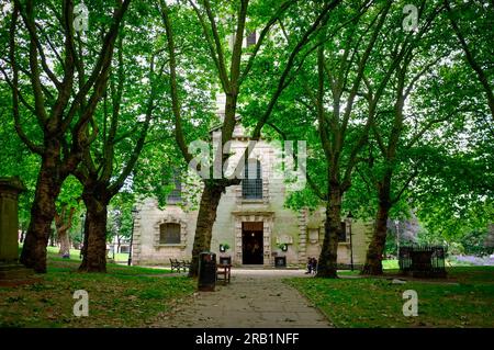 Bäume vor St. Paul's Church, St. Paul's Square, The Jewellery Quarter, Birmingham City Centre, Großbritannien Stockfoto