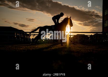 Pferderennen auf der Brighton Racecourse im Jahr 2023. Stockfoto