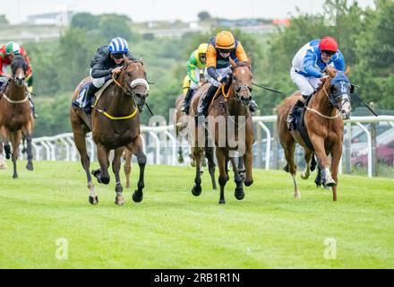 Pferderennen auf der Brighton Racecourse im Jahr 2023. Stockfoto