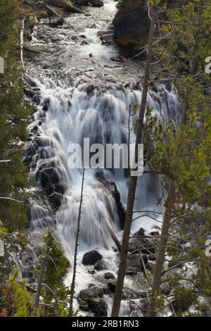 Die Kepler Cascades am Firehole River verwandeln sich in einen rund 150 m hohen Wasserfall im Yellowstone-Nationalpark, Wyoming, USA. Stockfoto