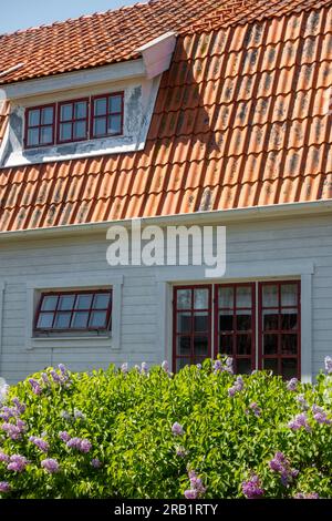 Fassade eines weiß bemalten Einfamilienhauses mit Holzplanke und orangefarbenen Dachziegeln in einer ländlichen skandinavischen Landschaft mit üppigem grünen Busch Stockfoto