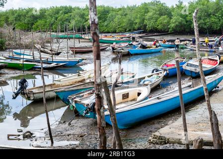 Santo Amaro, Bahia, Brasilien - 24. Juli 2022: Mehrere Fischer bereiten ihre Kanus und Netze im Hafen von Acupe vor, um auf dem Fluss fischen zu gehen. Sa Stockfoto