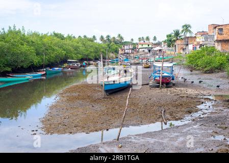 Santo Amaro, Bahia, Brasilien - 24. Juli 2022: Mehrere Fischer bereiten ihre Kanus und Netze im Hafen von Acupe vor, um auf dem Fluss fischen zu gehen. Sa Stockfoto