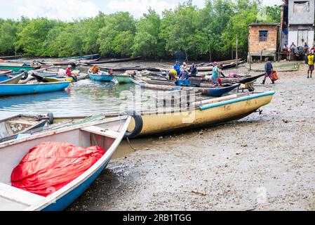 Santo Amaro, Bahia, Brasilien - 24. Juli 2022: Mehrere Fischer bereiten ihre Kanus und Netze im Hafen von Acupe vor, um auf dem Fluss fischen zu gehen. Sa Stockfoto