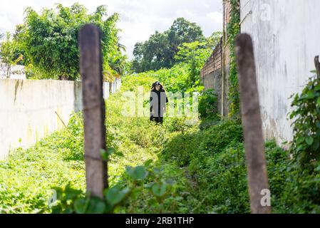 Santo Amaro, Bahia, Brasilien - 24. Juli 2022: Eine Person wandelt zwischen den Pflanzen, die schwarz mit einer Maske des Terrors gekleidet sind, während einer kulturellen Demonstration in Stockfoto
